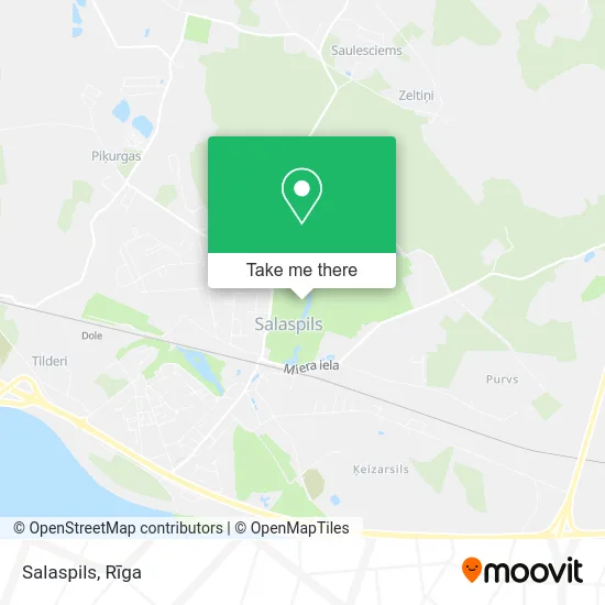 Карта Salaspils