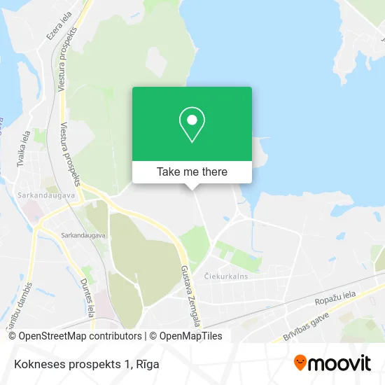 Карта Kokneses prospekts 1