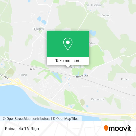 Raiņa iela 16 map