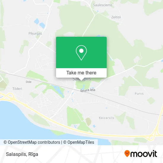 Карта Salaspils