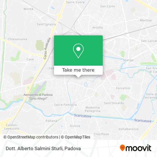 Dott. Alberto Salmini Sturli map
