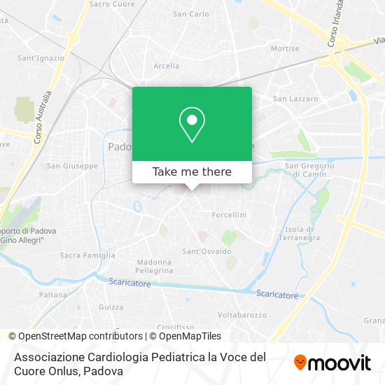 Associazione Cardiologia Pediatrica la Voce del Cuore Onlus map