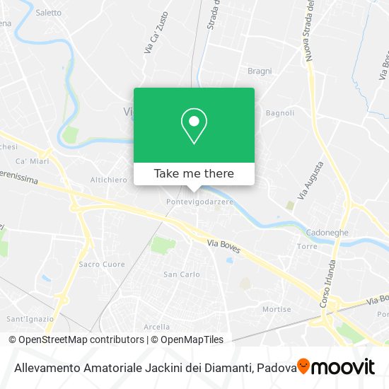 Allevamento Amatoriale Jackini dei Diamanti map