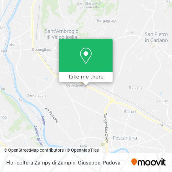 Floricoltura Zampy di Zampini Giuseppe map