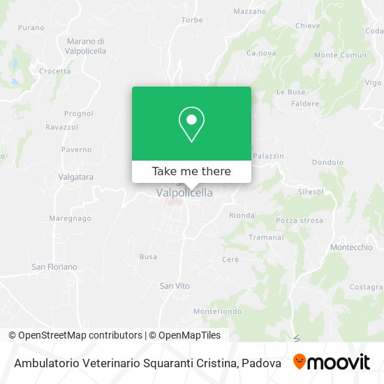 Ambulatorio Veterinario Squaranti Cristina map