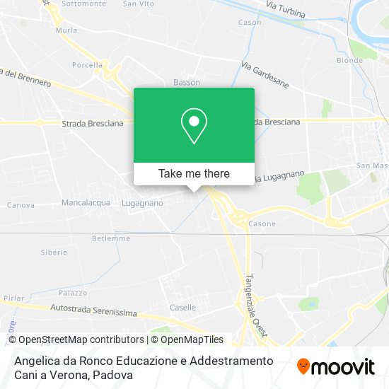 Angelica da Ronco Educazione e Addestramento Cani a Verona map
