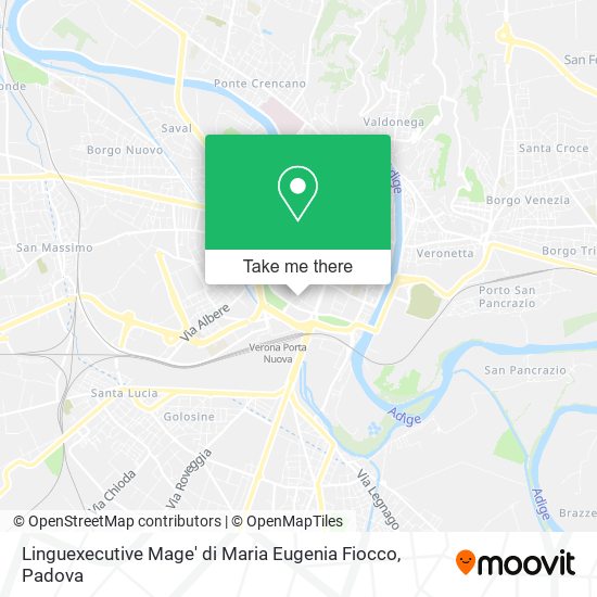 Linguexecutive Mage' di Maria Eugenia Fiocco map