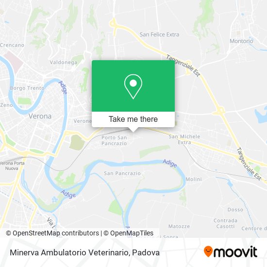 Minerva Ambulatorio Veterinario map