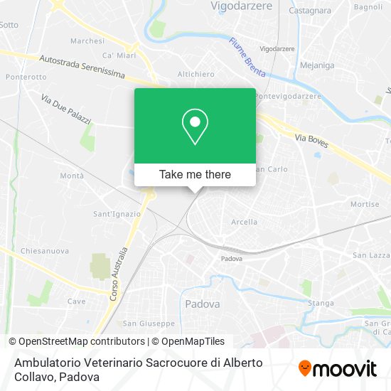 Ambulatorio Veterinario Sacrocuore di Alberto Collavo map