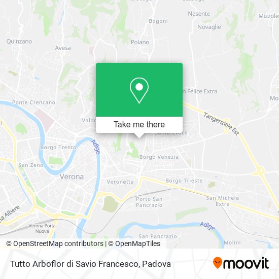 Tutto Arboflor di Savio Francesco map