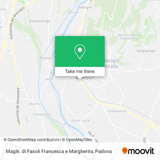 Magik. di Fasoli Francesca e Margherita map