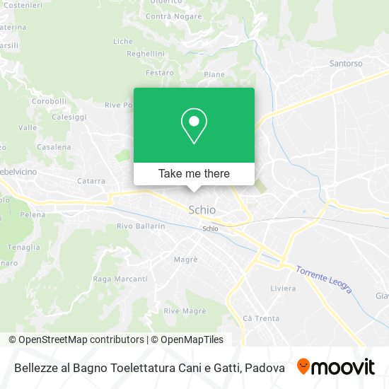 Bellezze al Bagno Toelettatura Cani e Gatti map