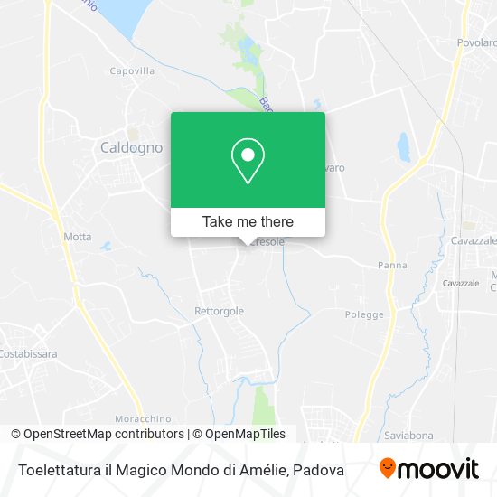 Toelettatura il Magico Mondo di Amélie map