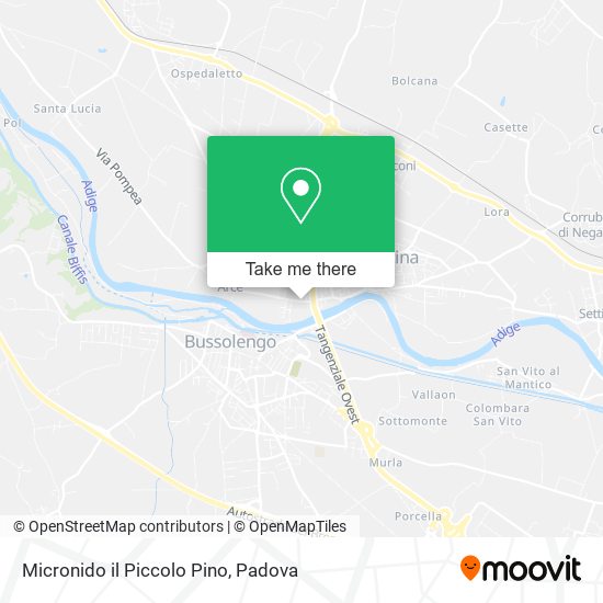 Micronido il Piccolo Pino map