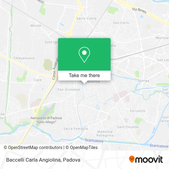 Baccelli Carla Angiolina map