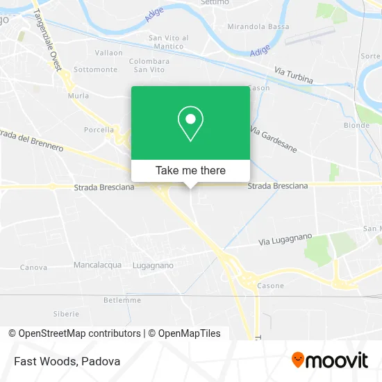 Fast Woods map
