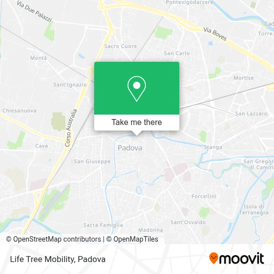 Life Tree Mobility map