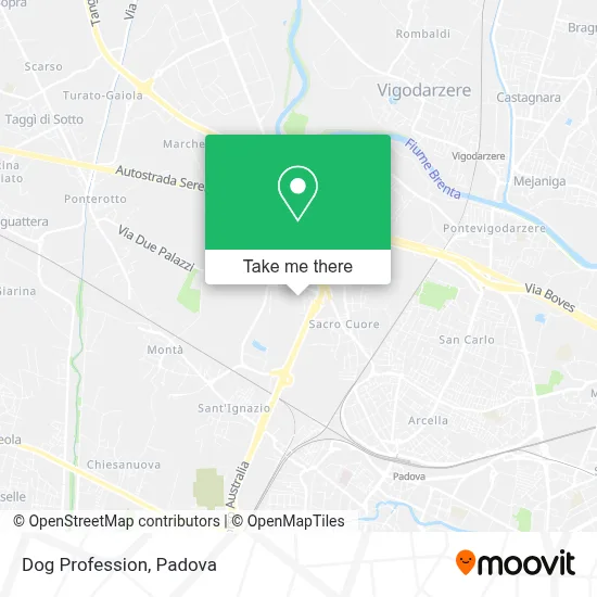 Dog Profession map
