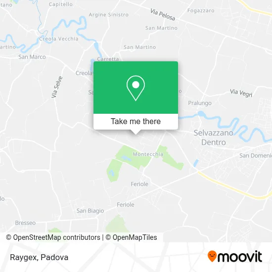 Raygex map
