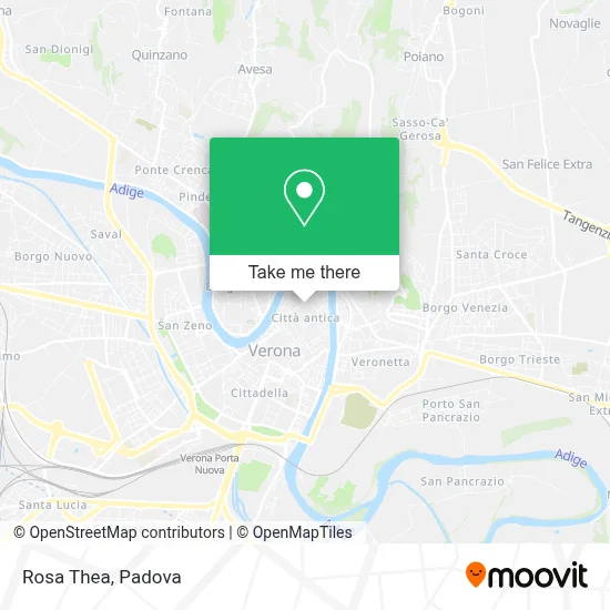 Rosa Thea map