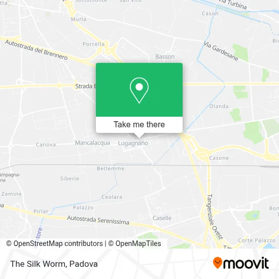 The Silk Worm map