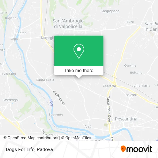 Dogs For Life map
