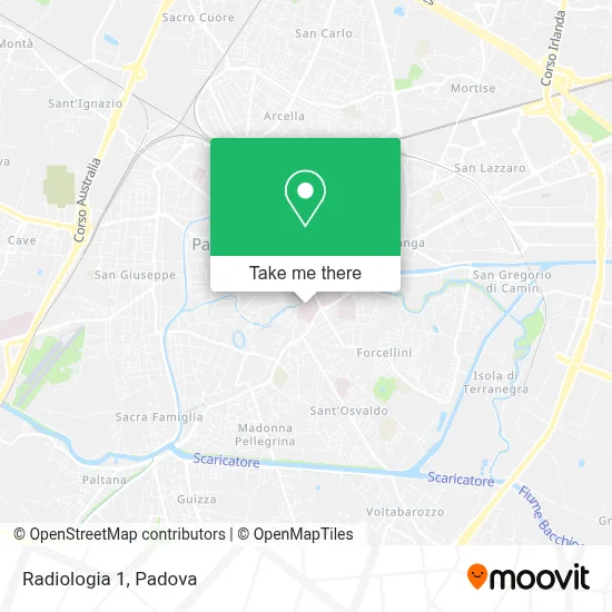 Radiologia 1 map