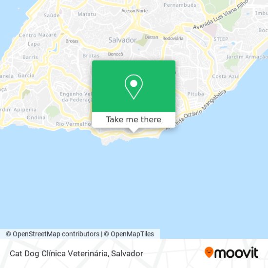 Cat Dog Clínica Veterinária map