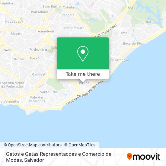 Gatos e Gatas Representacoes e Comercio de Modas map