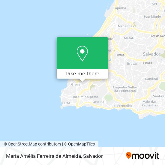 Maria Amélia Ferreira de Almeida map