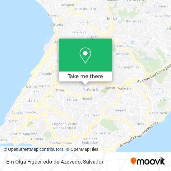 Em Olga Figueiredo de Azevedo map