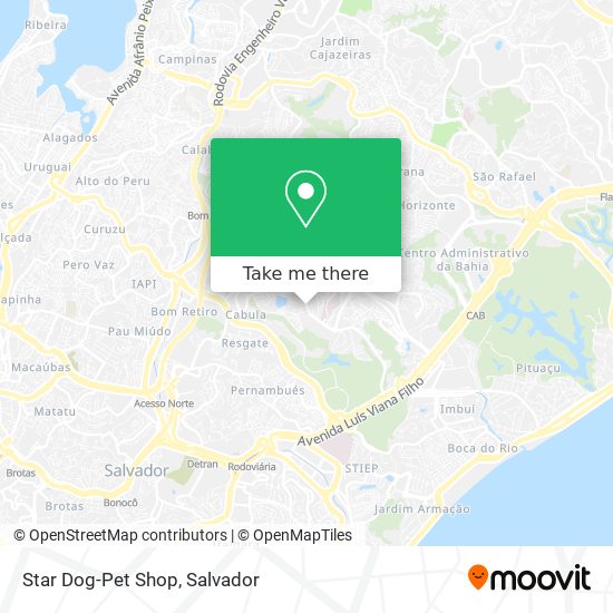 Mapa Star Dog-Pet Shop