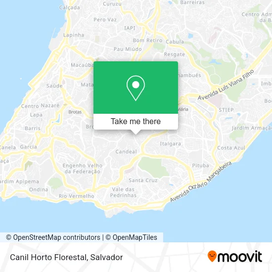 Canil Horto Florestal map