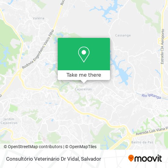 Consultório Veterinário Dr Vidal map