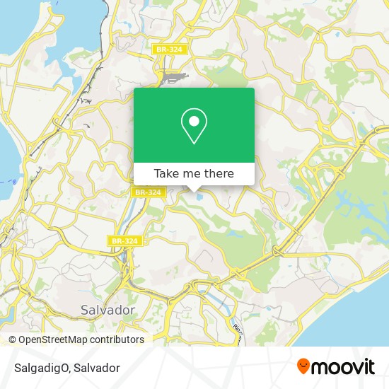 SalgadigO map