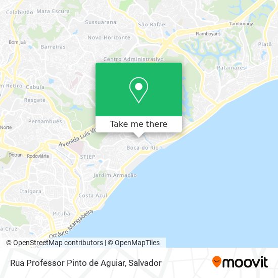 Rua Professor Pinto de Aguiar map