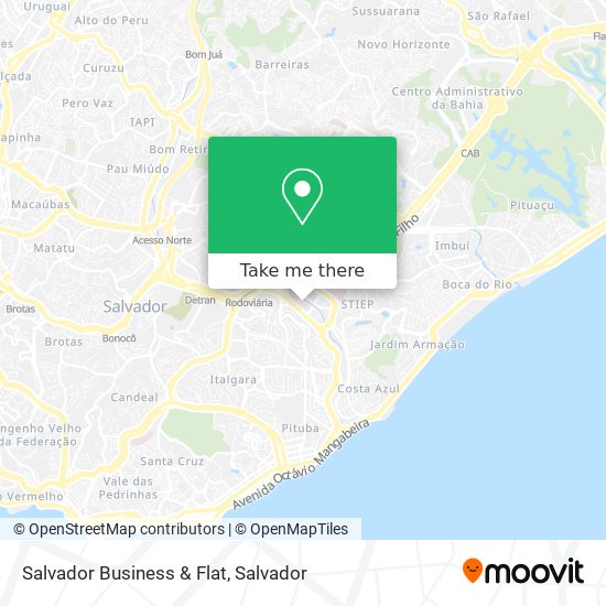 Salvador Business & Flat map