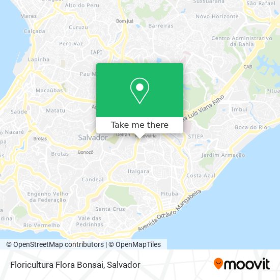 Floricultura Flora Bonsai map