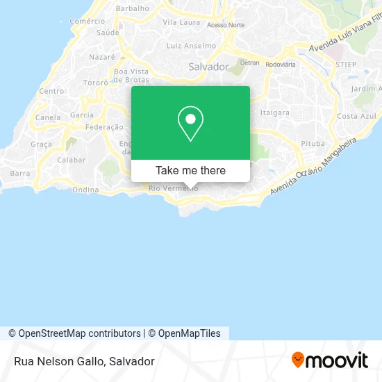 Rua Nelson Gallo map