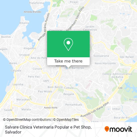 Salvare Clinica Veterinaria Popular e Pet Shop map