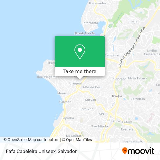 Mapa Fafa Cabeleira Unissex