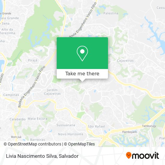 Mapa Livia Nascimento Silva