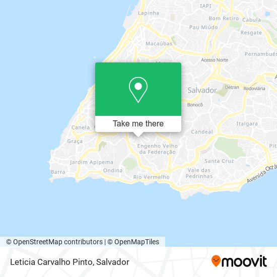 Leticia Carvalho Pinto map