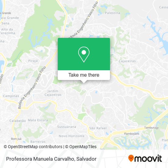 Professora Manuela Carvalho map
