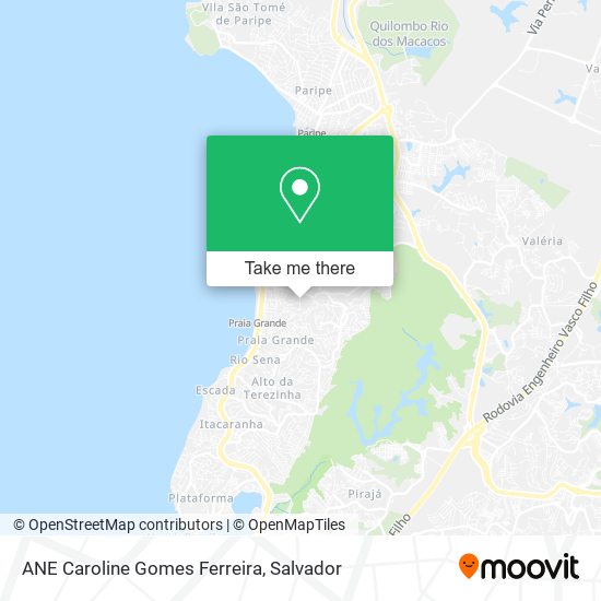 ANE Caroline Gomes Ferreira map