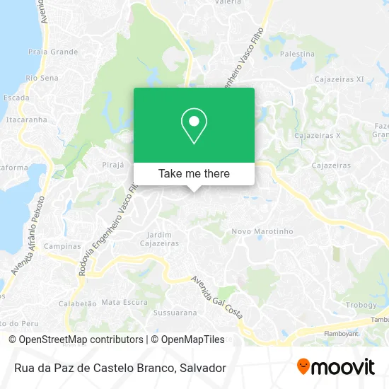 Rua da Paz de Castelo Branco map