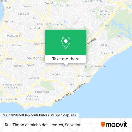 Rua Timbo caminho das arvores map