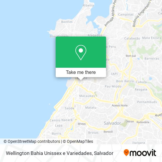 Mapa Wellington Bahia Unissex e Variedades