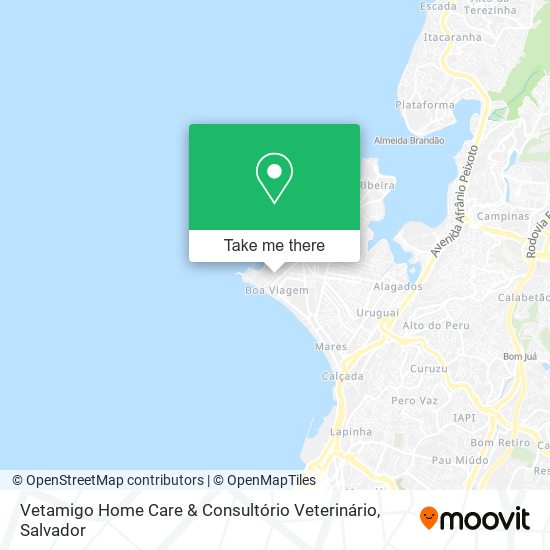 Vetamigo Home Care & Consultório Veterinário map