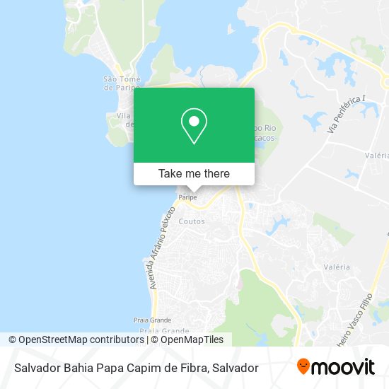 Mapa Salvador Bahia Papa Capim de Fibra